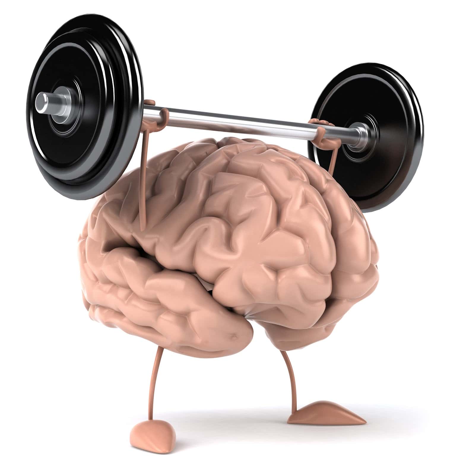 Como preparar seu corpo para os estudos?